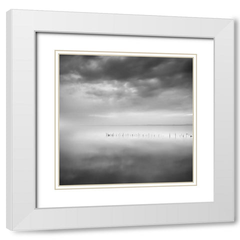 Sixty Shades Of Gray White Modern Wood Framed Art Print with Double Matting by Digalakis, George