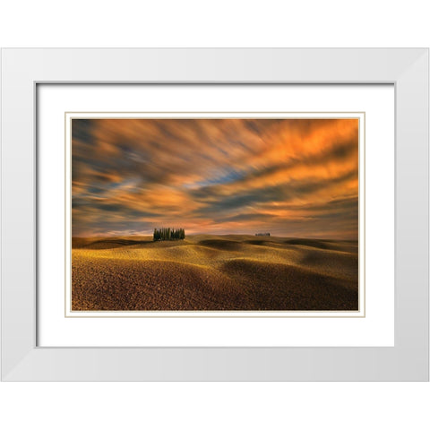 Cypresses... White Modern Wood Framed Art Print with Double Matting by Browko, Krzysztof