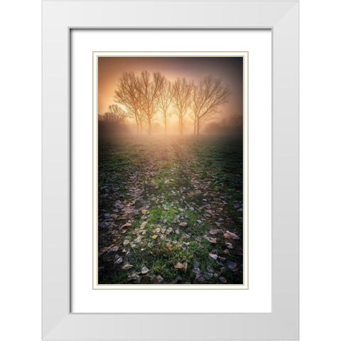 Misty Morning White Modern Wood Framed Art Print with Double Matting by Rebustini, Luca