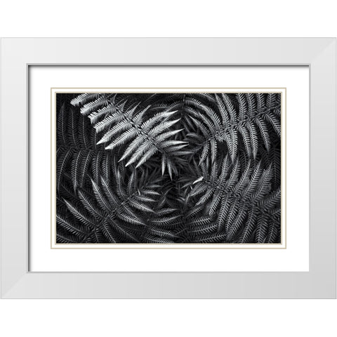 Untitled 56 White Modern Wood Framed Art Print with Double Matting by E. Karcz, Gary