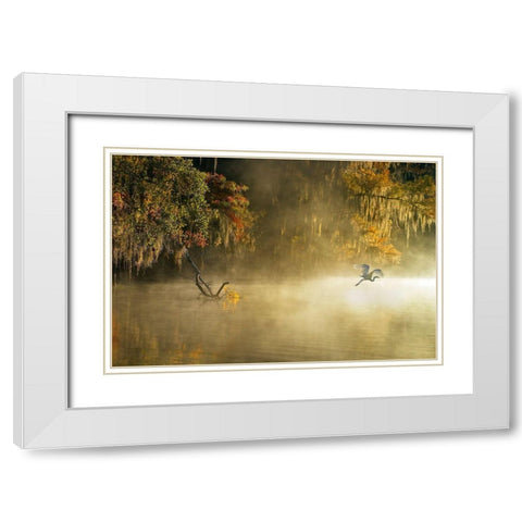 Egret White Modern Wood Framed Art Print with Double Matting by Zhu, Hua