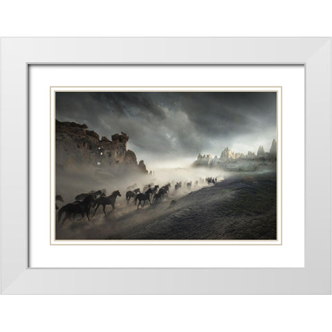 Migration White Modern Wood Framed Art Print with Double Matting by Taskin, Huseyin