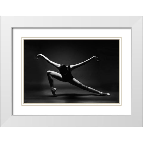 Soaring White Modern Wood Framed Art Print with Double Matting by Alexandr