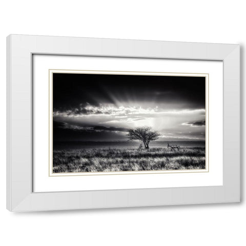 Sunrise With Hartebeest White Modern Wood Framed Art Print with Double Matting by Flour, Piet