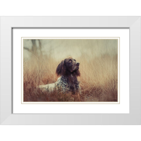 Beautiful Aragorn White Modern Wood Framed Art Print with Double Matting by Willers, Heike