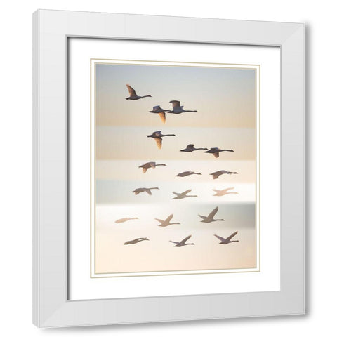 Past The Sun. White Modern Wood Framed Art Print with Double Matting by Londal, Leif