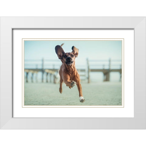 Up-Up To The Sky White Modern Wood Framed Art Print with Double Matting by Willers, Heike