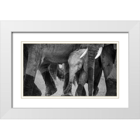 Family Protection White Modern Wood Framed Art Print with Double Matting by Fan, John