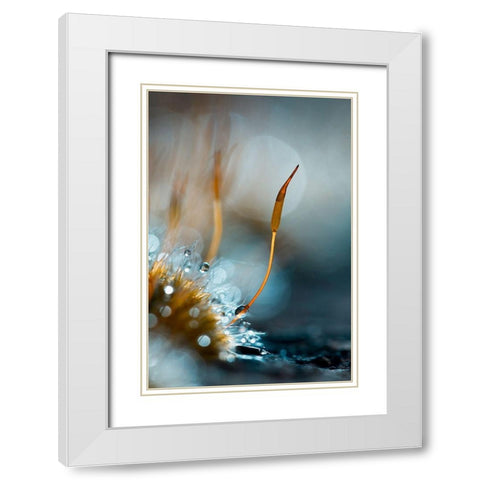 Et Pendant Ce Temps Lan-Dans Le Petit Monde White Modern Wood Framed Art Print with Double Matting by Bravin, Fabien