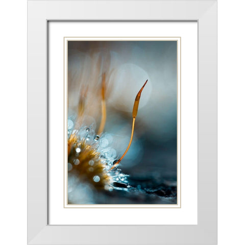 Et Pendant Ce Temps Lan-Dans Le Petit Monde White Modern Wood Framed Art Print with Double Matting by Bravin, Fabien