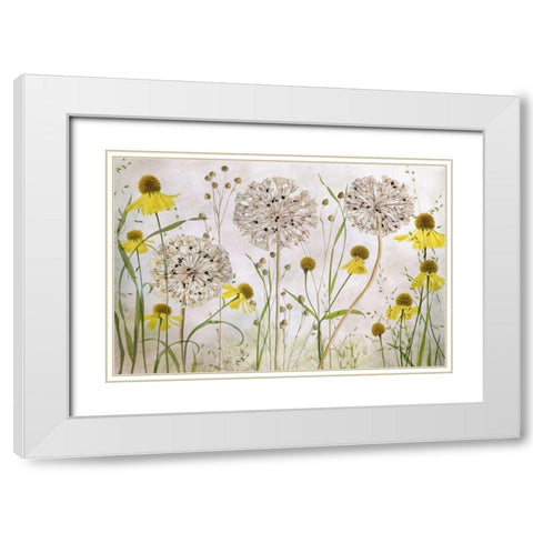 Alliums And Heleniums White Modern Wood Framed Art Print with Double Matting by Disher, Mandy