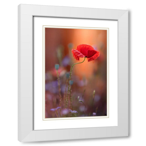 At The End Of The Day. White Modern Wood Framed Art Print with Double Matting by Moore, Steve