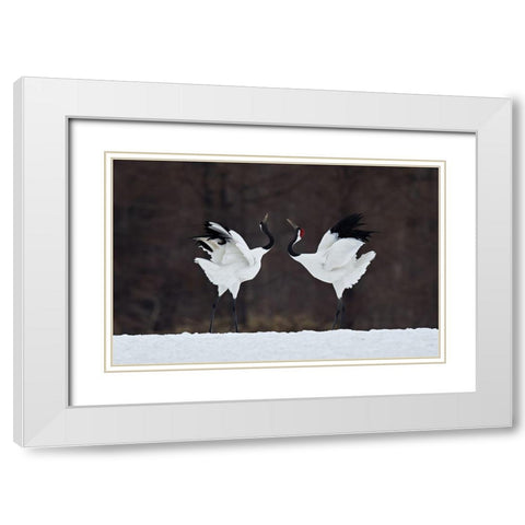 Lovers White Modern Wood Framed Art Print with Double Matting by Tjandra, C.S.