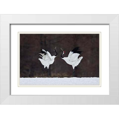 Lovers White Modern Wood Framed Art Print with Double Matting by Tjandra, C.S.