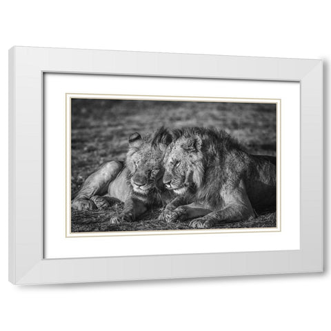 The Aging Alliance. White Modern Wood Framed Art Print with Double Matting by C. Sink, Jeffrey