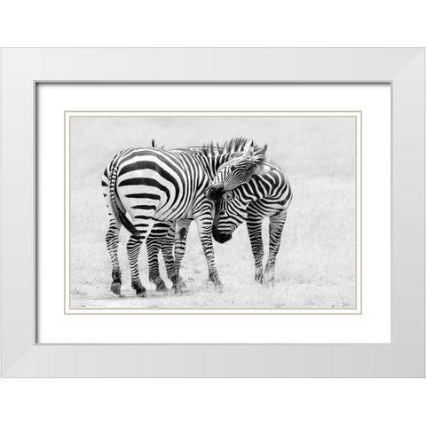 Tender Moment White Modern Wood Framed Art Print with Double Matting by Fan, John