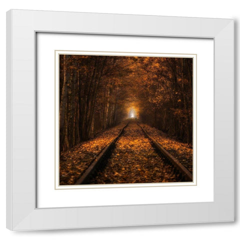 Autumn Tunnel White Modern Wood Framed Art Print with Double Matting by Uchorczak, Pawel