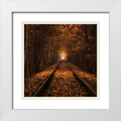Autumn Tunnel White Modern Wood Framed Art Print with Double Matting by Uchorczak, Pawel