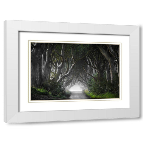 Dark Hedges White Modern Wood Framed Art Print with Double Matting by Molteni, Nicola