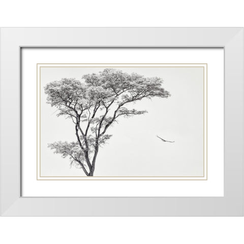 The African Eagle White Modern Wood Framed Art Print with Double Matting by Flour, Piet