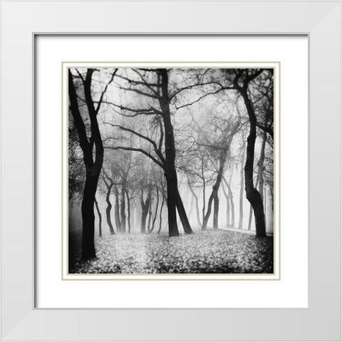 Mystique White Modern Wood Framed Art Print with Double Matting by Bogdan, Marchevca