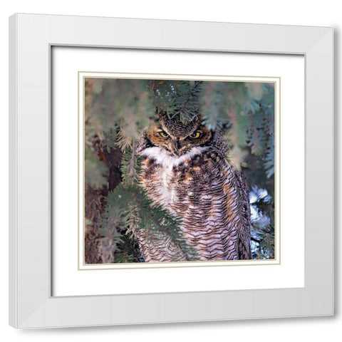 I Am Watching You White Modern Wood Framed Art Print with Double Matting by Zuo, Jun