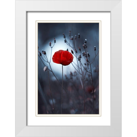 Flower Not By Kenzo. By Me White Modern Wood Framed Art Print with Double Matting by Bravin, Fabien