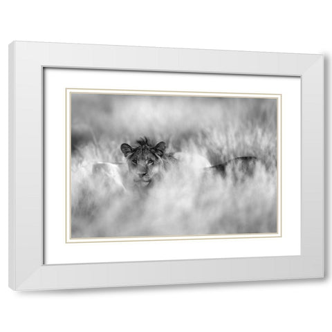 Subtle Mane White Modern Wood Framed Art Print with Double Matting by Marx, Jaco