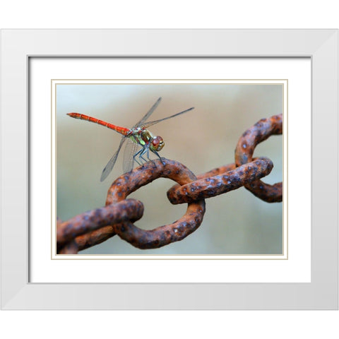 Rusty White Modern Wood Framed Art Print with Double Matting by Hoffman, Jimmy