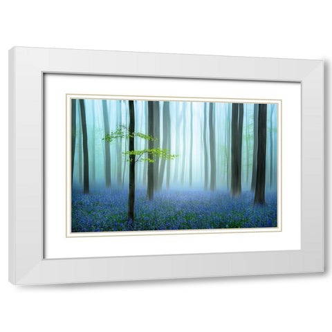 The Blue Forest ........ White Modern Wood Framed Art Print with Double Matting by Haaksma, Piet