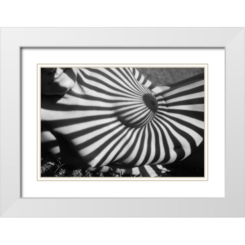 Target White Modern Wood Framed Art Print with Double Matting by Faletkin, Mikhail