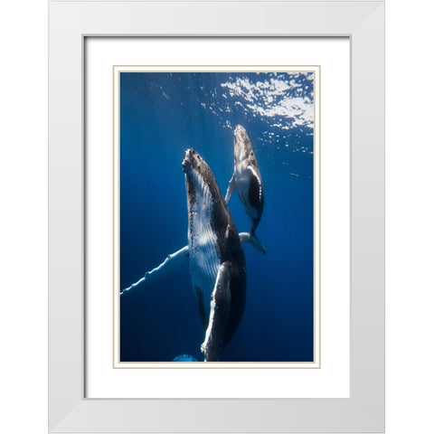 Back To The Surface White Modern Wood Framed Art Print with Double Matting by Gabriel, Barathieu
