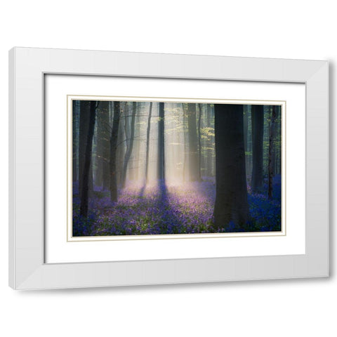Velvet Light White Modern Wood Framed Art Print with Double Matting by Popan, Adrian