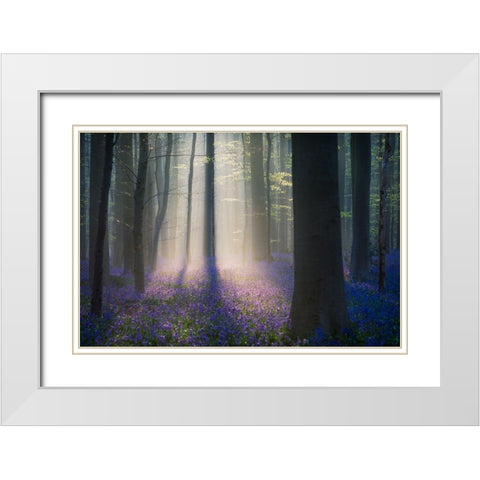 Velvet Light White Modern Wood Framed Art Print with Double Matting by Popan, Adrian