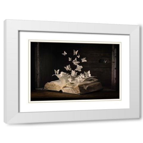 Lepidopterology White Modern Wood Framed Art Print with Double Matting by Bonadio, Heather