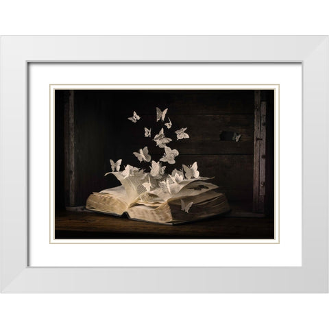 Lepidopterology White Modern Wood Framed Art Print with Double Matting by Bonadio, Heather