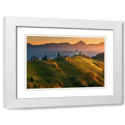 Autumn Light... White Modern Wood Framed Art Print with Double Matting by Browko, Krzysztof