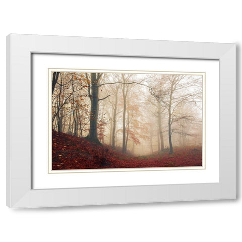 Waiting For The Deer. White Modern Wood Framed Art Print with Double Matting by Londal, Leif