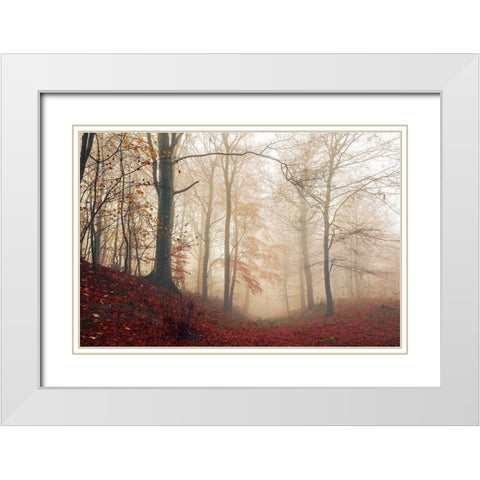 Waiting For The Deer. White Modern Wood Framed Art Print with Double Matting by Londal, Leif