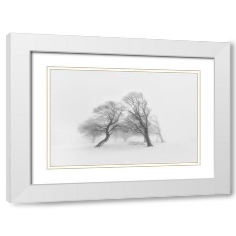 Together White Modern Wood Framed Art Print with Double Matting by Fotoea