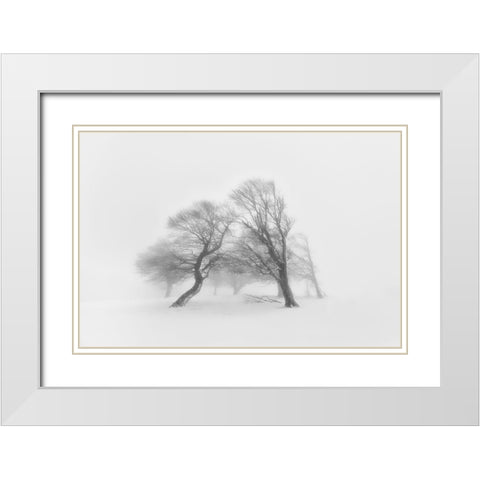Together White Modern Wood Framed Art Print with Double Matting by Fotoea