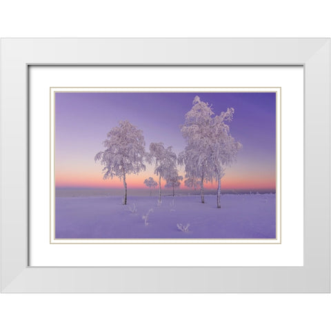 January Evening White Modern Wood Framed Art Print with Double Matting by Makhmud-Akhunov, Ruslan