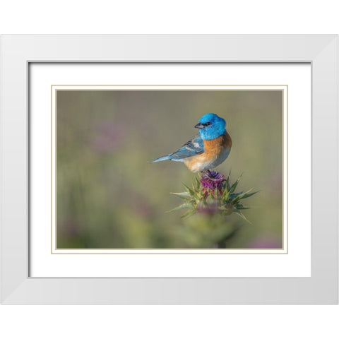 Blowin In The Wind White Modern Wood Framed Art Print with Double Matting by Barsh, Greg