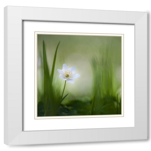 Alone......... White Modern Wood Framed Art Print with Double Matting by Haaksma, Piet