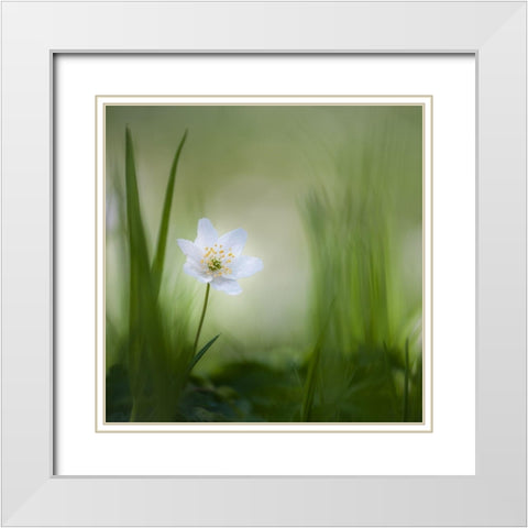 Alone......... White Modern Wood Framed Art Print with Double Matting by Haaksma, Piet