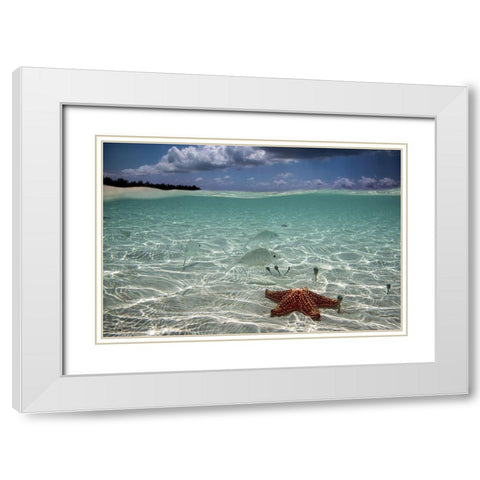 Underwater White Modern Wood Framed Art Print with Double Matting by Pardini, Elena