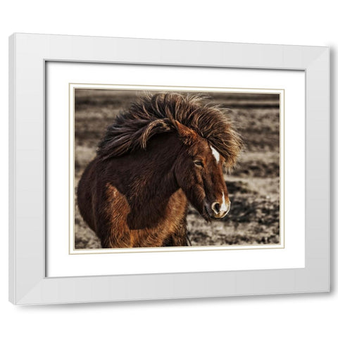 Windblown White Modern Wood Framed Art Print with Double Matting by Ingibergsson, Bragi