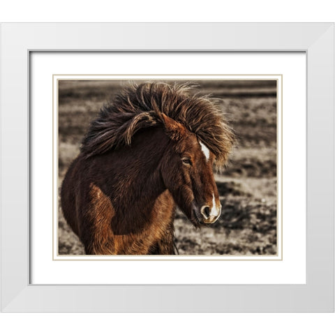 Windblown White Modern Wood Framed Art Print with Double Matting by Ingibergsson, Bragi