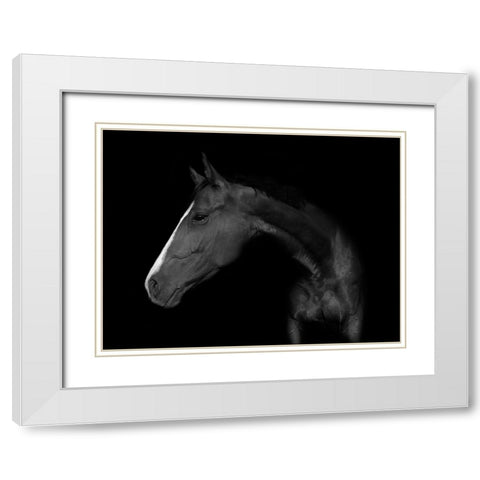 My Horse White Modern Wood Framed Art Print with Double Matting by De Kogel, Wieteke