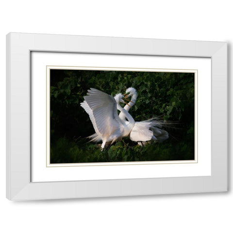 Love Is In The Air! White Modern Wood Framed Art Print with Double Matting by Chang, Phillip